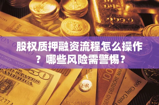 武汉股权质押融资流程怎么操作？哪些风险需警惕？