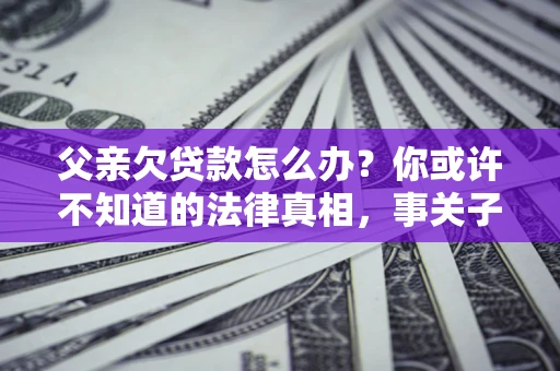 武汉父亲欠贷款怎么办？你或许不知道的法律真相，事关子女未来
