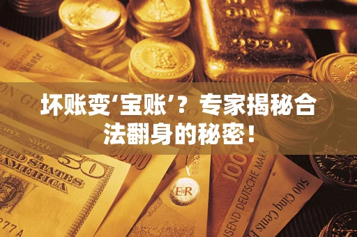 武汉坏账变‘宝账’？专家揭秘合法翻身的秘密！