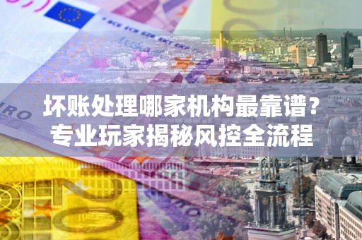 武汉坏账处理哪家机构最靠谱？专业玩家揭秘风控全流程