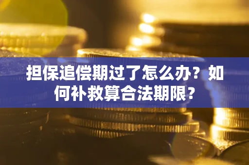 武汉担保追偿期过了怎么办？如何补救算合法期限？