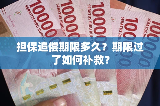武汉担保追偿期限多久？期限过了如何补救？