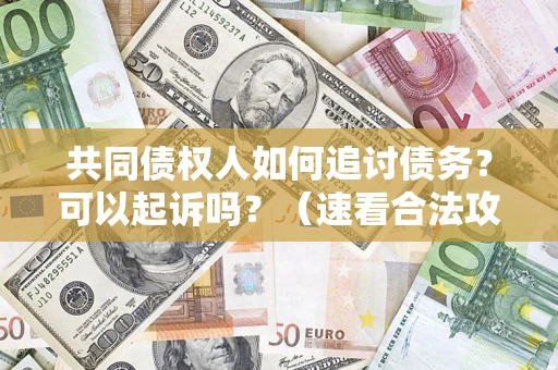 武汉共同债权人如何追讨债务？可以起诉吗？（速看合法攻略）