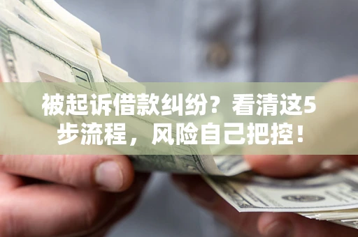 武汉被起诉借款纠纷？看清这5步流程，风险自己把控！