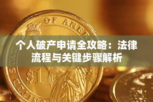 武汉个人破产申请全攻略：法律流程与关键步骤解析